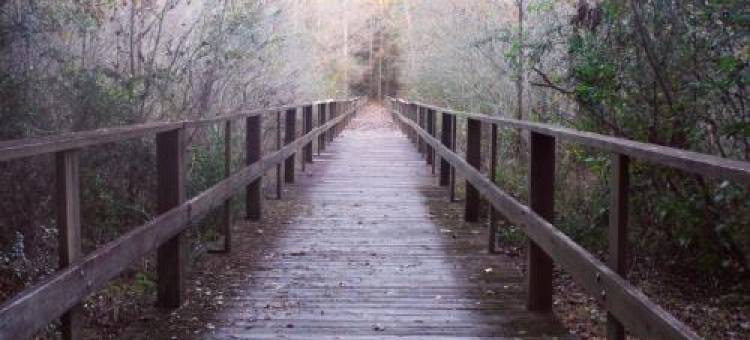 Cozy, Cute, Private Ozark Suite 5 Mins to Hospital图片