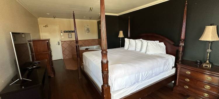 悉尼丽柏酒店(Park Inn by Radisson, Sydney)图片