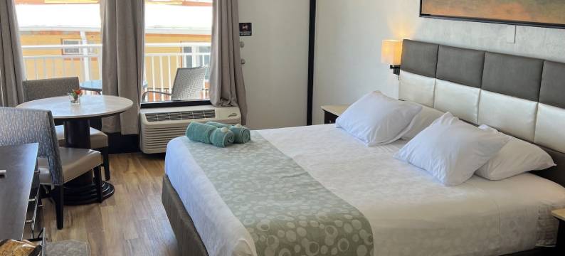 海滨 火烈鸟酒店 - 代托纳海滩(Flamingo Inn Beachfront - Daytona Beach)图片