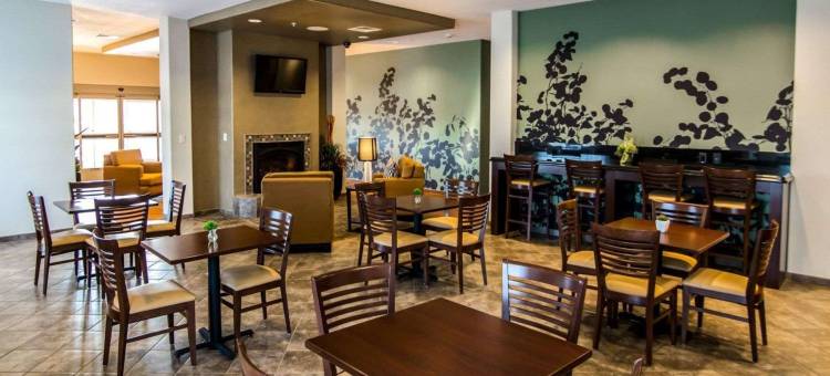 安眠套房酒店及会议中心(Sleep Inn & Suites Garden City)图片