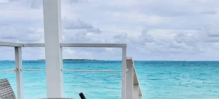 套房人生(The Suite Life)图片