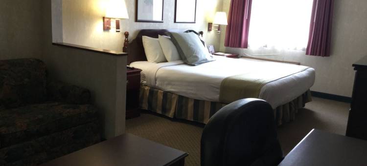 圣路易斯圣查尔斯美洲最佳价值套房酒店(Americas Best Value Inn and Suites Saint Charles)图片
