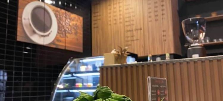 奥南海牛(Aonang Dugong)图片