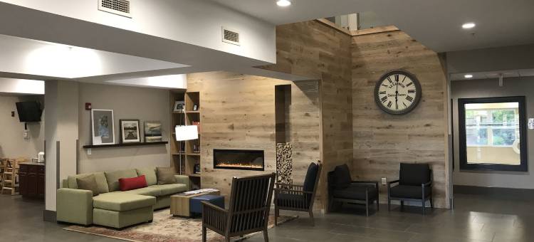 威尔明顿丽怡酒店(Country Inn & Suites by Radisson, Wilmington, NC)图片