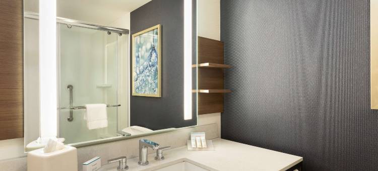 梅尔维尔希尔顿花园旅馆(Hilton Garden Inn Melville)图片