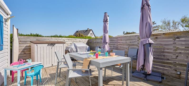 Super Octalia (Camping  )图片