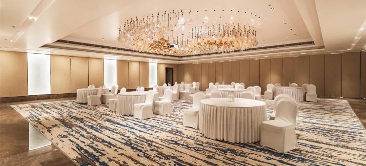 贾姆谢德布尔丽笙酒店(Radisson Hotel Jamshedpur)图片