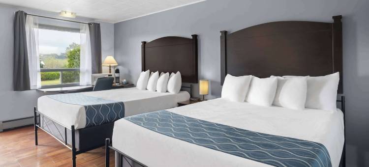 Travelodge by Wyndham Grand Falls图片