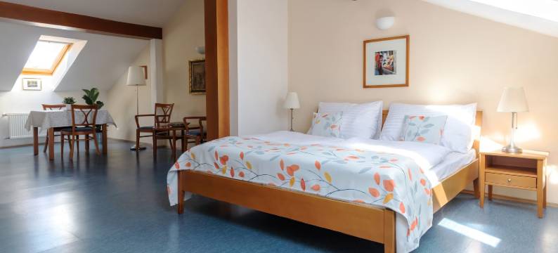 布拉格西贝柳斯公寓 - 新艺术主义1902(Sibelius Apartments Prague - Art Nouveau Residence 1902)图片