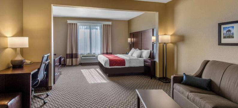 锡福德舒适全套房酒店(Comfort Suites)图片