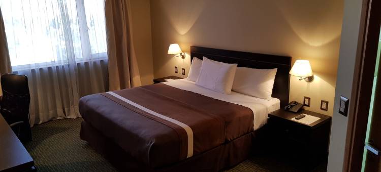 迪亚哥德阿尔马格罗奥拓罗亚卡拉马酒店(Hotel Diego de Almagro Alto El Loa Calama)图片