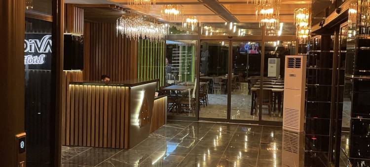 马尔迪瓦酒店(Mardiva Otel)图片