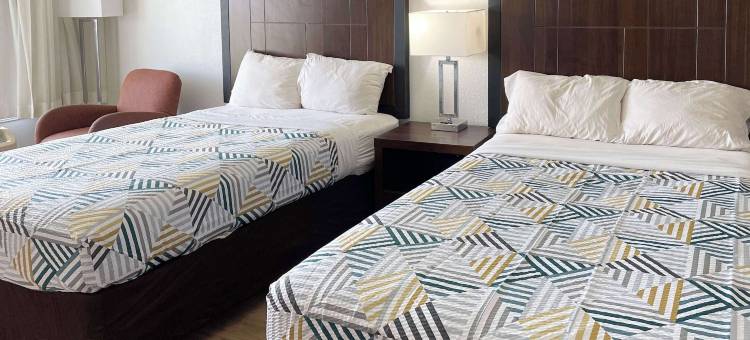 阿拉巴马欧佩里卡 6 号汽车旅馆酒店(Motel 6 Opelika, Al)图片