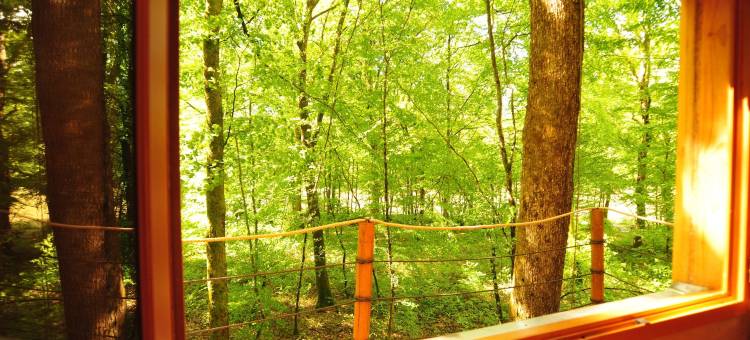 福乐托太空小屋酒店(Cabanes de l'Espace Fouletot)图片