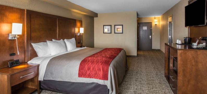 舒适套房酒店-诺克斯维尔西(Comfort Inn & Suites Knoxville West)图片