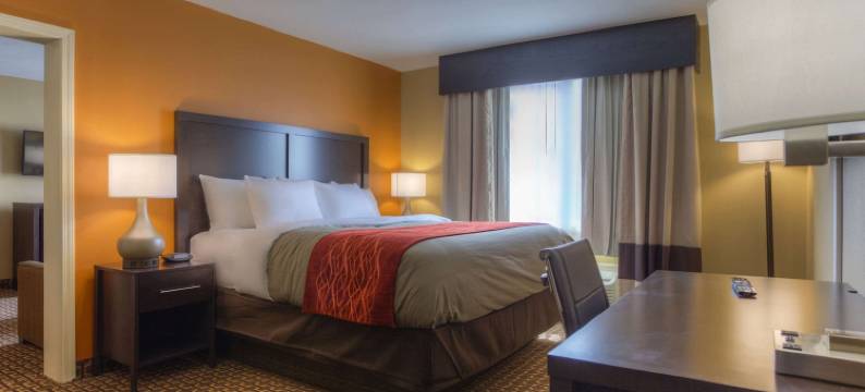 品质酒店及套房查塔努加-东岭(Quality Inn & Suites Chattanooga-East Ridge)图片
