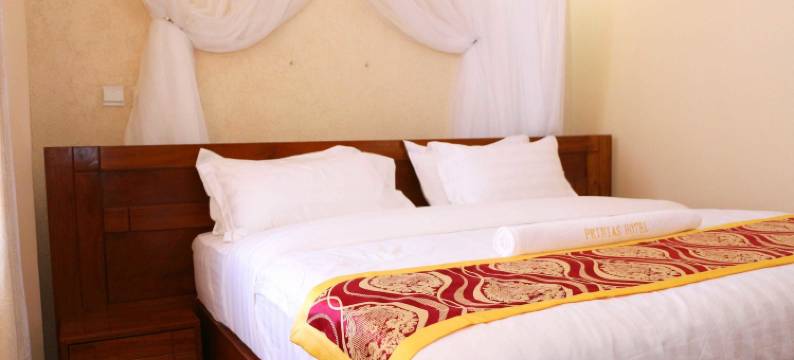 普林尼亚斯酒店(Prinias Hotel)图片