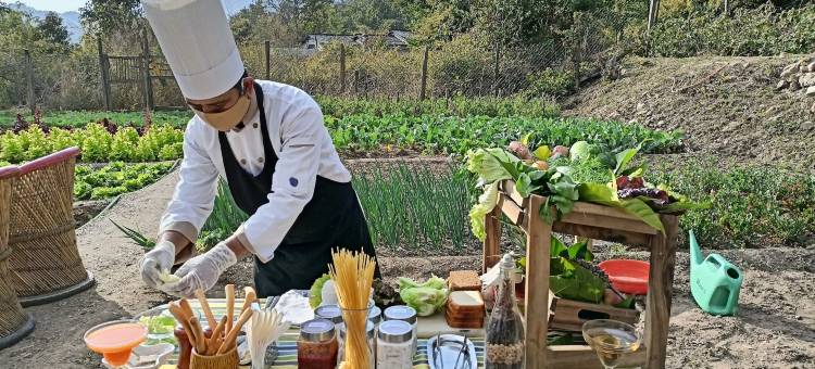 帕提利顿野外小屋(Paatlidun Safari Lodge, Jim Corbett)图片