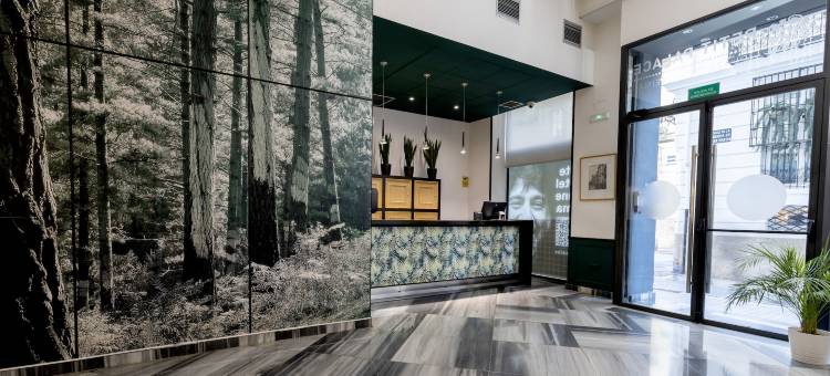 佩蒂特宫雷纳广场酒店(Petit Palace Plaza de la Reina)图片