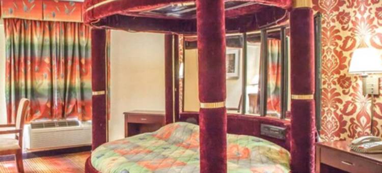泽西市温德姆戴斯酒店(Days Inn by Wyndham Jersey City / NYC Area)图片