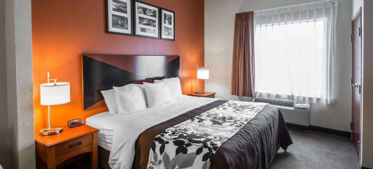 帕拉特卡北舒眠套房酒店(Sleep Inn & Suites Palatka North)图片