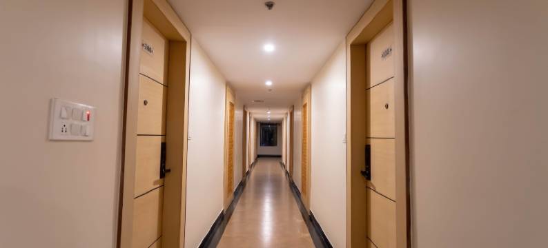 维瓦娜商务酒店(Vivana)图片