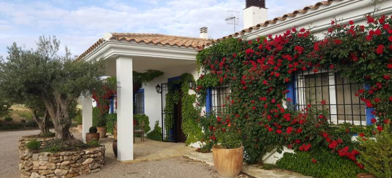 芬卡埃尔罗梅拉尔乡村民宿(Finca El Romeral)图片