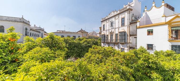 雷堂佩德罗奢华别墅酒店(Rey Don Pedro Luxury Home)图片