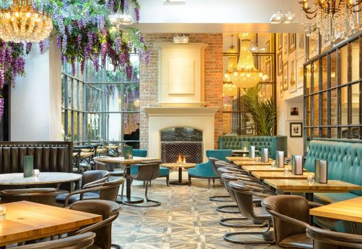 Black IvyHotel Overview