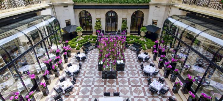 巴黎乔治五世四季酒店(Four Seasons Hotel George V Paris)图片