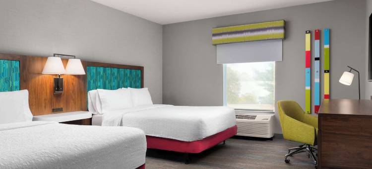 斯普林菲尔德-奇科皮欢朋酒店(Hampton Inn Chicopee/Springfield)图片