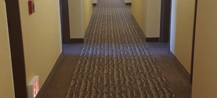 怀俄明大学附近舒适酒店及套房(Comfort Inn Near University of Wyoming)图片