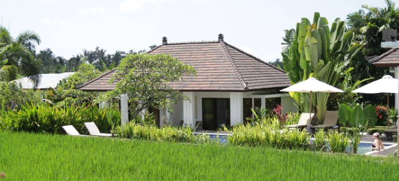 萨马拉酒店(The Samara Villas & Restaurant)图片