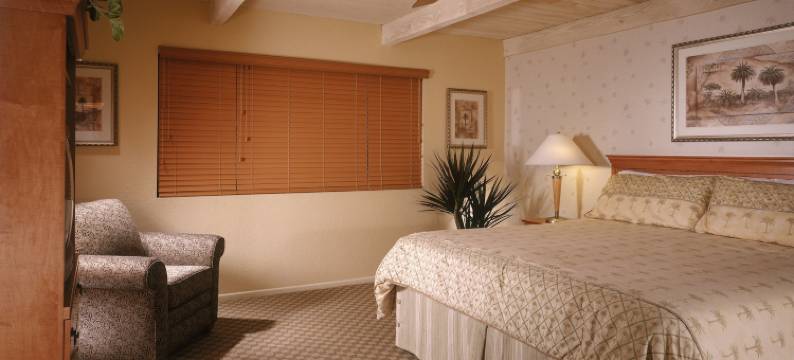 棕榈泉沙漠岛(Desert Isle of Palm Springs)图片