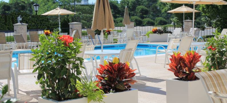 希尔顿夫隆特纳克酒店(Hilton St. Louis Frontenac)图片