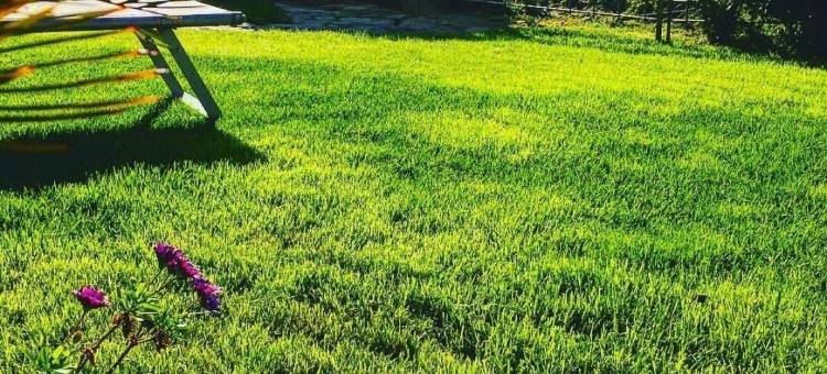 格拉奇拉别墅酒店(Villa Grachira)图片