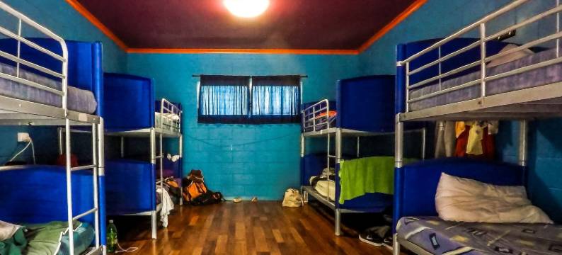 酷香蕉背包客旅馆(Cool Bananas Backpackers)图片