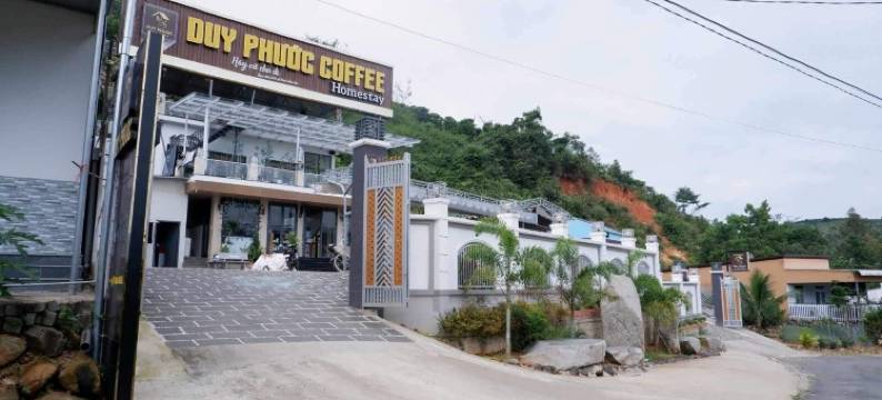 杜伊富克咖啡民宿(Duy Phuoc Coffee and Homestay)图片