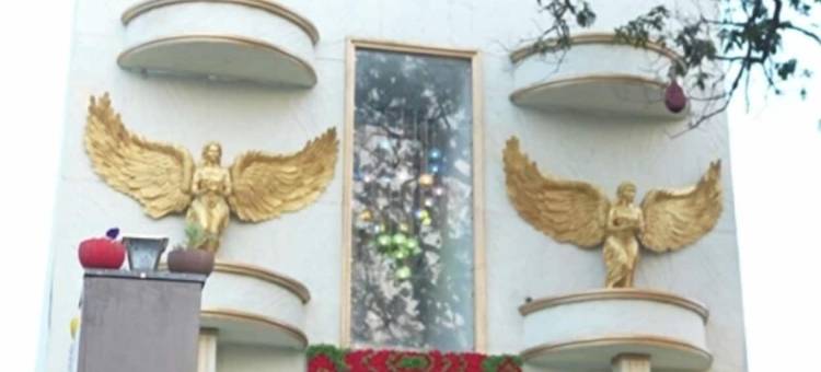 芒果树酒店(Hotel Mango Tree)图片