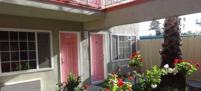 佛朗明哥酒店(The Flamingo Motel San Jose)图片