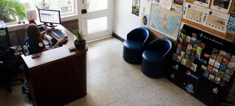查普尔特佩克旅舍(Hostel Hospedarte Chapultepec)图片