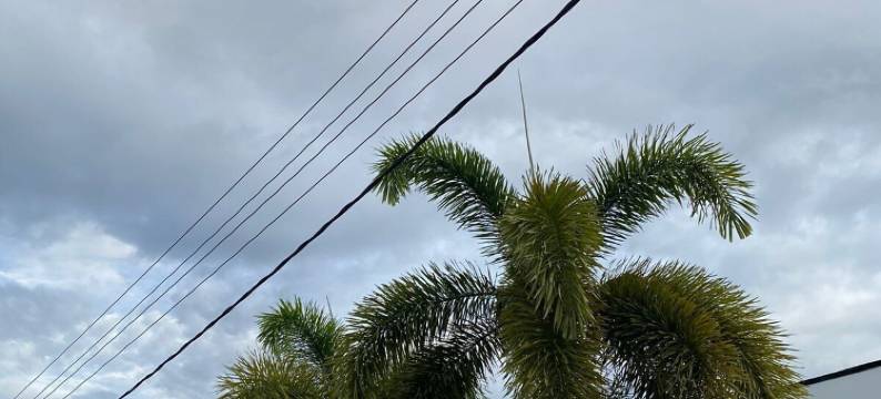 帝国别墅2号 蒙普莱西尔(Empire Villa 2 Mon Plaisir)图片