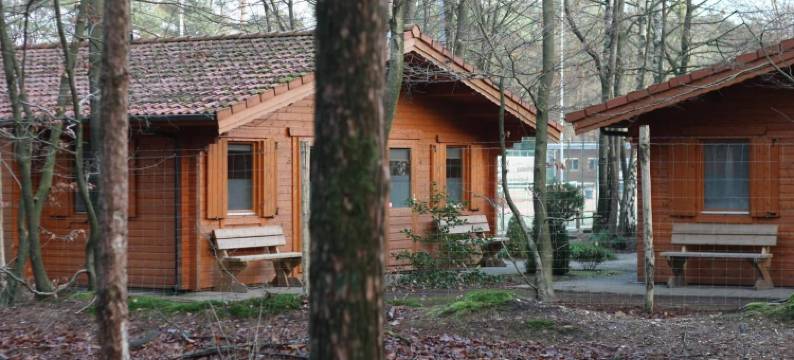 费卢沃塞波特旅店(Lodges Veluwse Poort)图片