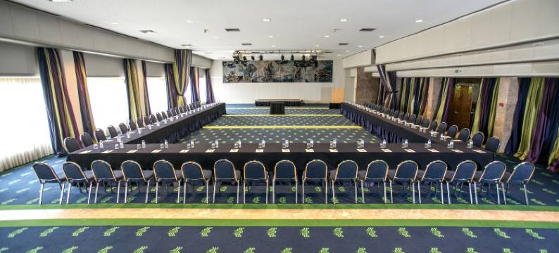 索维德Spa和健康中心酒店(Hotel Solverde Spa and Wellness Center)图片