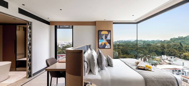 平行酒店乌代布尔，丽笙精选成员(Parallel Hotel Udaipur, A Member of Radisson Indiv)图片