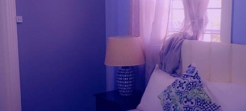 太阳公寓(Apartment Soleil 2 Mins Walk to Beach, Town and Soufriere Attractions)图片