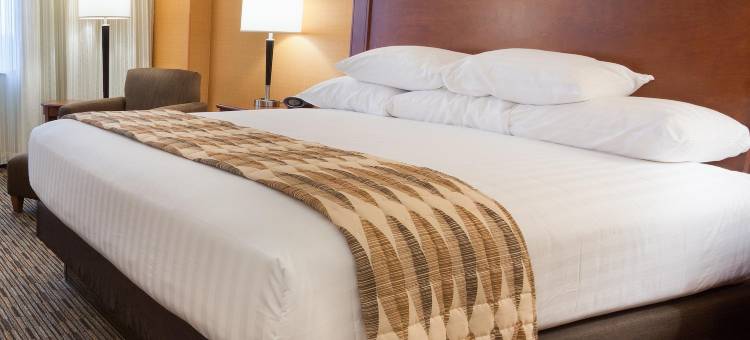 印第安纳波利斯-卡梅尔德鲁里广场酒店(Drury Plaza Hotel Indianapolis Carmel)图片