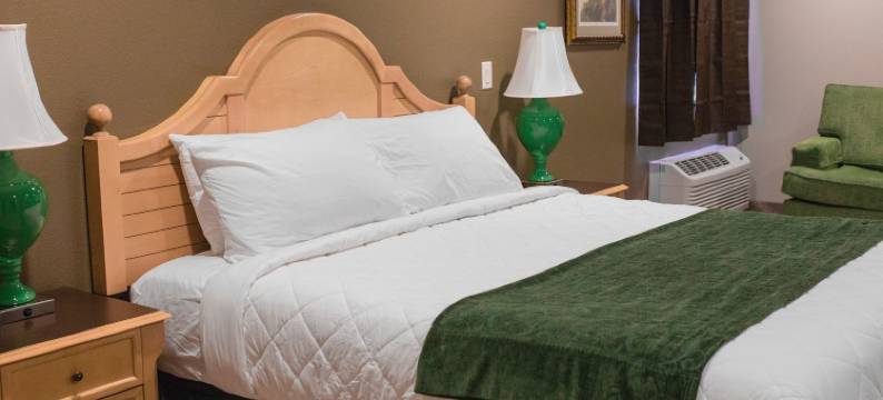 盖托尔巢穴汽车旅馆(The Gator Den)图片