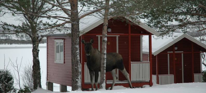 奇斯菲尔德假日公园(Tysfjord Hotel)图片