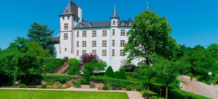 斯加罗斯伯格维克特雷迪斯酒店(Victor's Residenz-Hotel Schloss Berg)图片